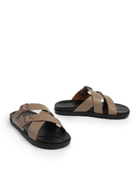 Light Taupe