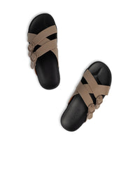 Light Taupe
